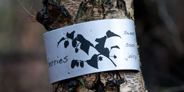 https://urbanpioneers.co.uk/wp/wp-content/uploads/2018/05/TN_Calais-Muir-tree-sign-6-e1526073637730.jpg