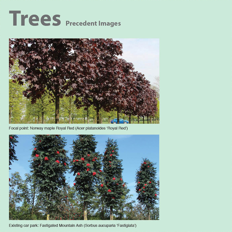 https://urbanpioneers.co.uk/wp/wp-content/uploads/2019/01/6Thistle_trees.jpg